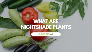 What Are Nightshade Plants [upl. by Eet]