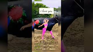 I love u meri jaan funny shortvideos comedy shorts [upl. by Ashwell]