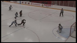 TOP 10 GOALS at 2018 Capital Ringette Classic finals CT rink [upl. by Seraphine]