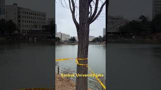 Nice view of Konkuk University lake in Seoul 서울의 건국대학교 호수의 아름다운 전망 [upl. by Dre26]