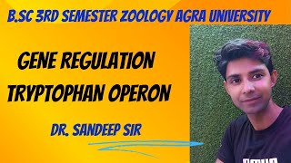 Tryptophan Operon  Bsc 3rd sem zoology Regulation of gene expression in prokaryotes [upl. by Eidderf]