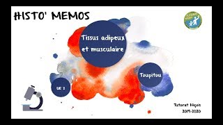 HISTO MEMOS  Les tissus adipeux et musculaire [upl. by Balliol]