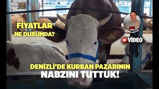 Denizli’de Kurban Pazarının Nabzını Tuttuk [upl. by Harrak]