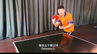 Learning Penhold Hook ServeTable Tennis [upl. by Nosidam]