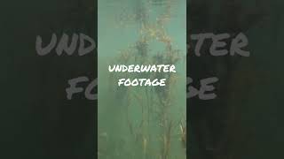 Underwater Footage  Nandoni Dam [upl. by Oicnerolf642]