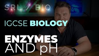 IGCSE Biology Required Practical pH and Enzymes with Amylase and Starch [upl. by Esoj322]