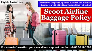 Scoot Airline Baggage Policy  Hand Baggage And Checked In Baggage [upl. by Nimzay736]