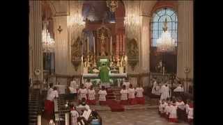 Parisians Enjoy Simple Majesty of Tridentine Latin Mass [upl. by Simaj278]