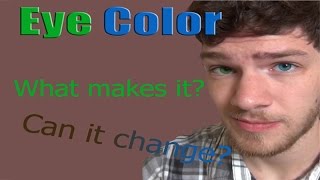 Eye Color What Makes It and What Changes It [upl. by Rastus]