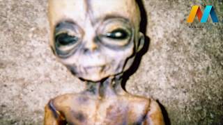 AREA 51 Boyd Bushman VIDEO REAL 2017 [upl. by Phenice]