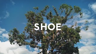 Allbirds Tree Runners Comfy Shoes Made From Trees [upl. by Myra]