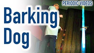 Barking Dog slow motion  Periodic Table of Videos [upl. by Eibur]