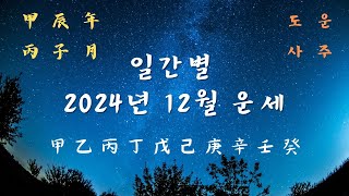 2024년 갑진甲辰년 12월丙子월 일간별 운세일간별 타임라인 참조 [upl. by Kcirrez]