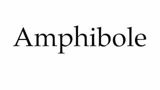 How to Pronounce Amphibole [upl. by Esil167]