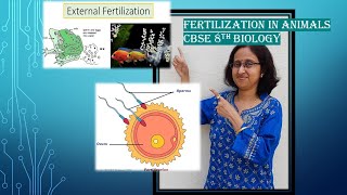 FertilizationInternalexternalInVitroViviparousoviparousDevelopmentofEmbryoCBSE8thScience [upl. by Sadoc]