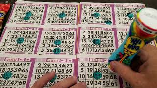 Bingo Games [upl. by Allsopp]