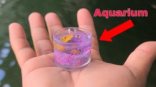 WORLDS SMALLEST Fish AQUARIUM [upl. by Winona]