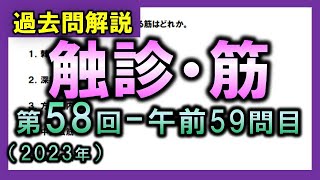 【過去問解説：第58回国家試験午前59問目】体表から触知できる筋【理学療法士・作業療法士】 [upl. by Mahmud589]