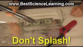 8th grade Science Projects and Homeschool Science Experiments [upl. by Altis552]