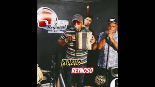 Pedrito Reynoso Tremendo Talento… musica Tipica 🔥🪗merenguetipico tipicoenvivo [upl. by Quennie494]