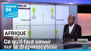 Drépanocytose maladie génétique le tueur silencieux en Afrique • FRANCE 24 [upl. by Milena]