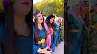 Koma Sümbül Avesta 🎤📸 kurdish düğün kürtçe batman öneçıkar love kürçehalay music halay [upl. by Enotna]