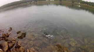 Cape cod canal fishing [upl. by Memory923]