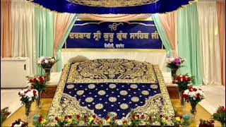 ਸ਼ਬਦ ਗੁਰਬਾਣੀ🌹🙏❤️chardikalakhalsa wmk khalsa dharmic shorts punjabi guru waheguru simran ❤️🌹🙏 [upl. by Anelra202]