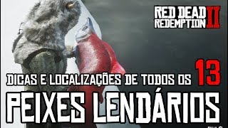 RED DEAD REDEMPTION 2  TODOS OS 13 PEIXES LENDÁRIOS LOCALIZAÇÕES E DICAS [upl. by Itsuj]