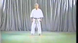 Kata  Pinan Nidan With Sound [upl. by Leasi]