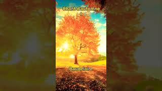 Chant d automne I  Baudelaire [upl. by Ikkin836]