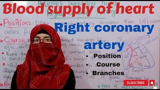 Blood supply of heart  Right coronary artery of heart  Heart anatomy  ayesha medical education [upl. by Kape50]