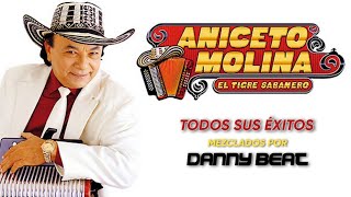 Aniceto Molina Mix Cumbia Navideña 20242025🎄🎅 [upl. by Yrotciv]