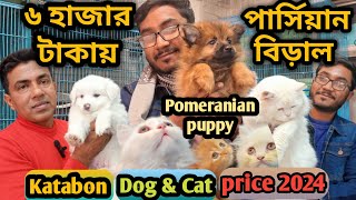 Katabon animal market in bangladeshKeeshond dogPomeranian dog Persian Cat Dog and cat price 2023 [upl. by Lehcyar]