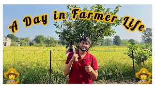 A day in farmer life 🧑‍🌾  Daily life of a farmer  vlog76 [upl. by Engelhart]