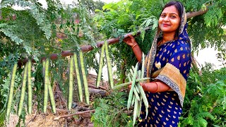 सहजन की सब्जी जब हमारे गांव में सरसों वाले मसालों के साथ बनता है तो सभी लोग उंगलियां चाट2 खाते हैं [upl. by Casabonne]