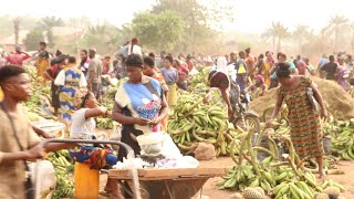 EDO A VISIT TO IGUOBAZUWA MARKET EPISODE 2 IGUOBAZUWA MARKET DAY OVIA SOUTH WEST LGA [upl. by Giff695]