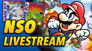 SUPER MARIO LAND IS FINALLY HERE  Game Boy Switch Online LIVESTREAM [upl. by Madaras488]