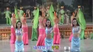 Dehong Dai Song  Crowded Shanland Dai  Chinese subtitle [upl. by Nitsyrc]