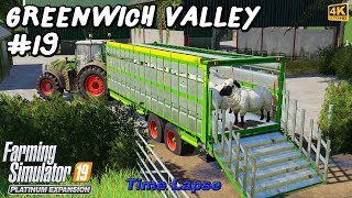 Animal Care Selling Milk Starting a Sheep Farm amp Mowing  Greenwich Valley 19  FS19 4K TimeLapse [upl. by Asalocin521]