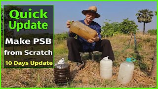 Making PSB Plant Food From Scratch Update 2 [upl. by Isabel193]