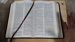 The Amplified Bible A Feast for Wordsmiths [upl. by Engel]