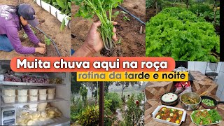 Há muitos anos não chovia assim🙌janta no fogão de lenhacomida mineira deliciosacuidados na horta [upl. by Anilosi239]