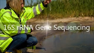 16S rRNA Gene Sequencing Service [upl. by Yantruoc]