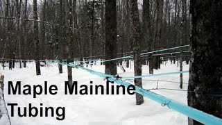 Maple Mainline Tubing Installation [upl. by Korry]