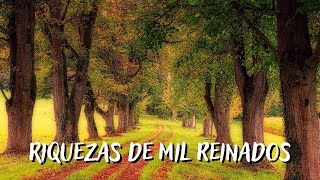 RIQUEZAS DE MIL REINADOS  Himnario Majestuoso 223 [upl. by Rannug288]