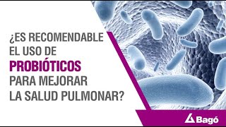 ¿ES RECOMENDABLE EL USO DE PROBIÓTICOS PARA MEJORAR LA SALUD PULMONAR [upl. by Lyndsie]