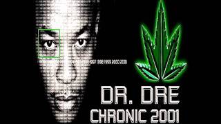 Dr Dre  Bitch Niggaz Screwed Up [upl. by Tade]