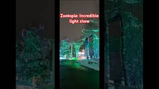 Zoolight An incredible light show in the Calgary zoo animals lightshow snow zootopia [upl. by Mcgruter]