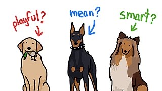 How Different Are Different Types of Dogs [upl. by Wonacott392]